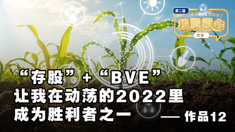 BVE作品12 ——“存股”+”BVE”让我在动荡的2022里成为胜利者之一