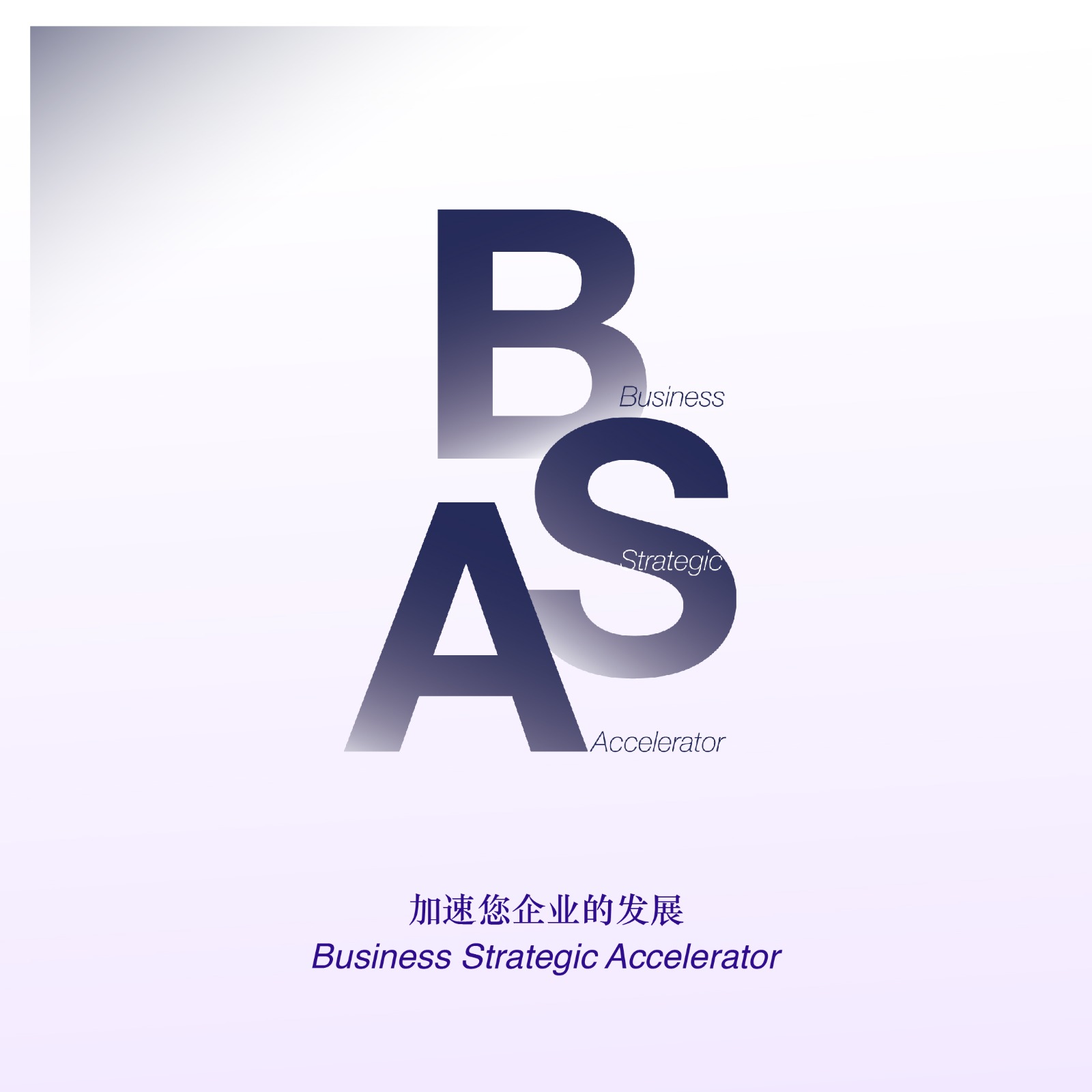 Business Strategic Accelerator (BSA)